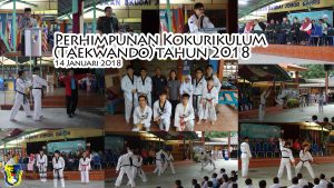 Read more about the article Perhimpunan Kokurikulum (Taekwando) Tahun 2018